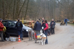 KONICA MINOLTA DIGITAL CAMERA