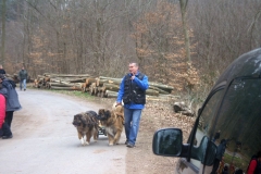 KONICA MINOLTA DIGITAL CAMERA