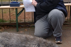 KONICA MINOLTA DIGITAL CAMERA