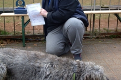 KONICA MINOLTA DIGITAL CAMERA