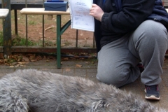 KONICA MINOLTA DIGITAL CAMERA