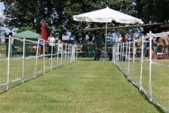 Sommerfest_2012_007