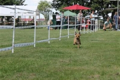 Sommerfest_2012_029