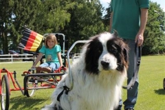 Sommerfest_2012_038