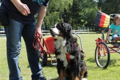 Sommerfest_2012_040