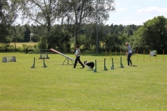 Sommerfest_2012_042