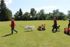 Sommerfest_2012_045
