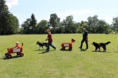 Sommerfest_2012_046