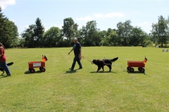 Sommerfest_2012_047