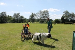 Sommerfest_2012_058