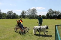 Sommerfest_2012_059