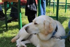 Sommerfest_2012_068