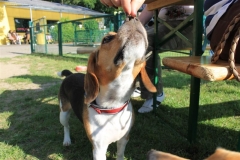 Sommerfest_2012_070