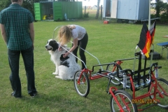 Sommerfest_2012_075