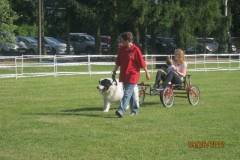 Sommerfest_2012_079