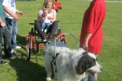 Sommerfest_2012_080