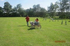 Sommerfest_2012_082