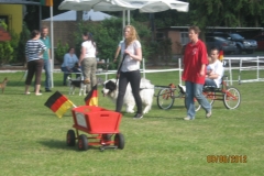 Sommerfest_2012_083