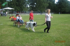 Sommerfest_2012_084