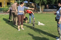 Sommerfest_2012_085