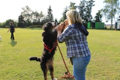 Sommerfest_2012_086