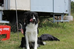 Sommerfest_2012_094