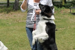 Sommerfest_2012_096
