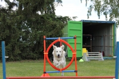 Sommerfest_2012_098