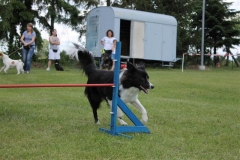 Sommerfest_2012_100