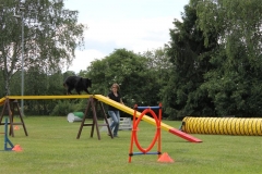 Sommerfest_2012_108