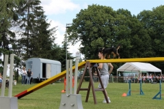 Sommerfest_2012_113