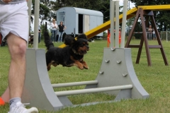 Sommerfest_2012_114