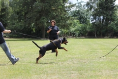 Sommerfest_2012_116