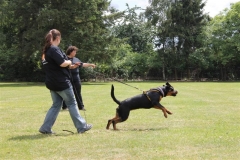 Sommerfest_2012_117