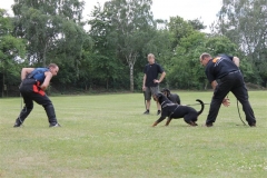 Sommerfest_2012_121