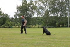 Sommerfest_2012_126