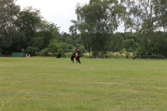 Sommerfest_2012_127