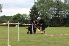 Sommerfest_2012_145