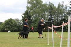 Sommerfest_2012_147