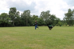 Sommerfest_2012_152