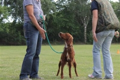 Sommerfest_2012_185