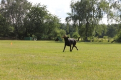 Sommerfest_2012_186