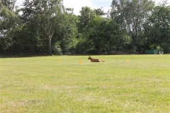 Sommerfest_2012_190