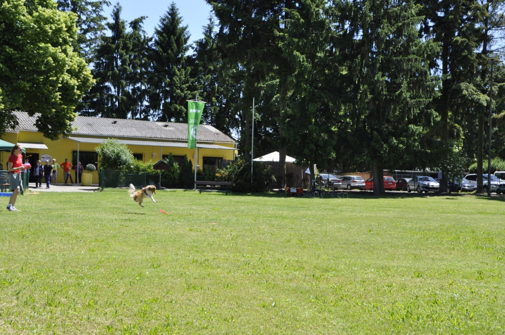 _DSC6740