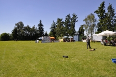 _DSC7059