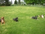 Training Mai 2009