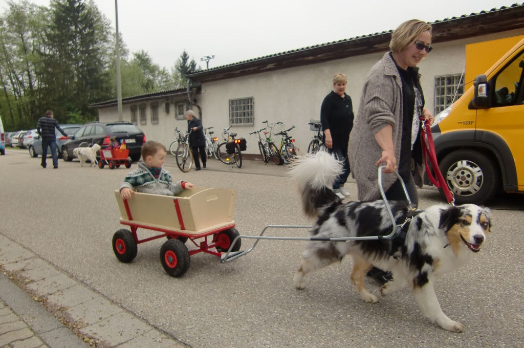VdH_Hagenbach_2013_05_01_31