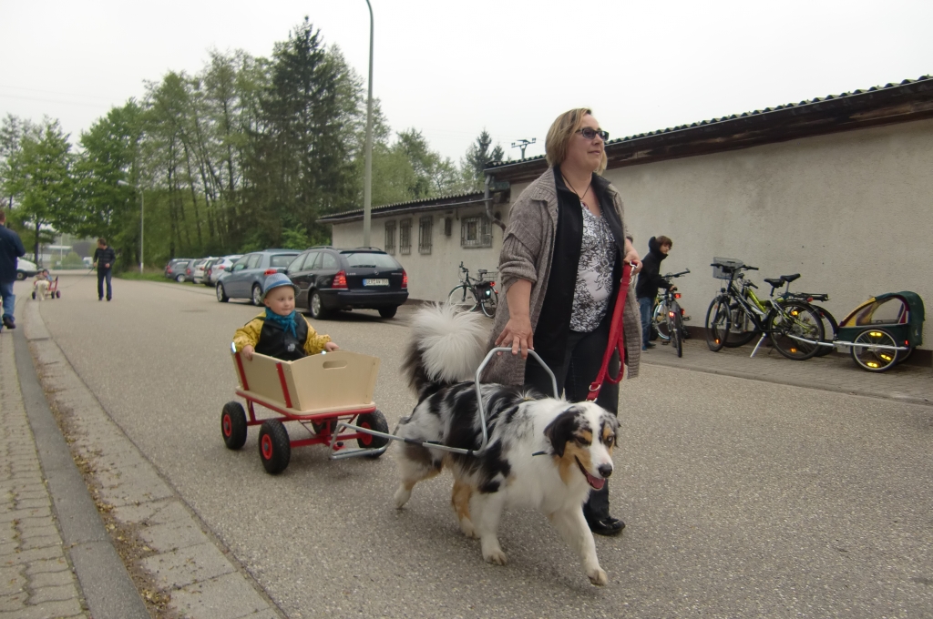 VdH_Hagenbach_2013_05_01_34