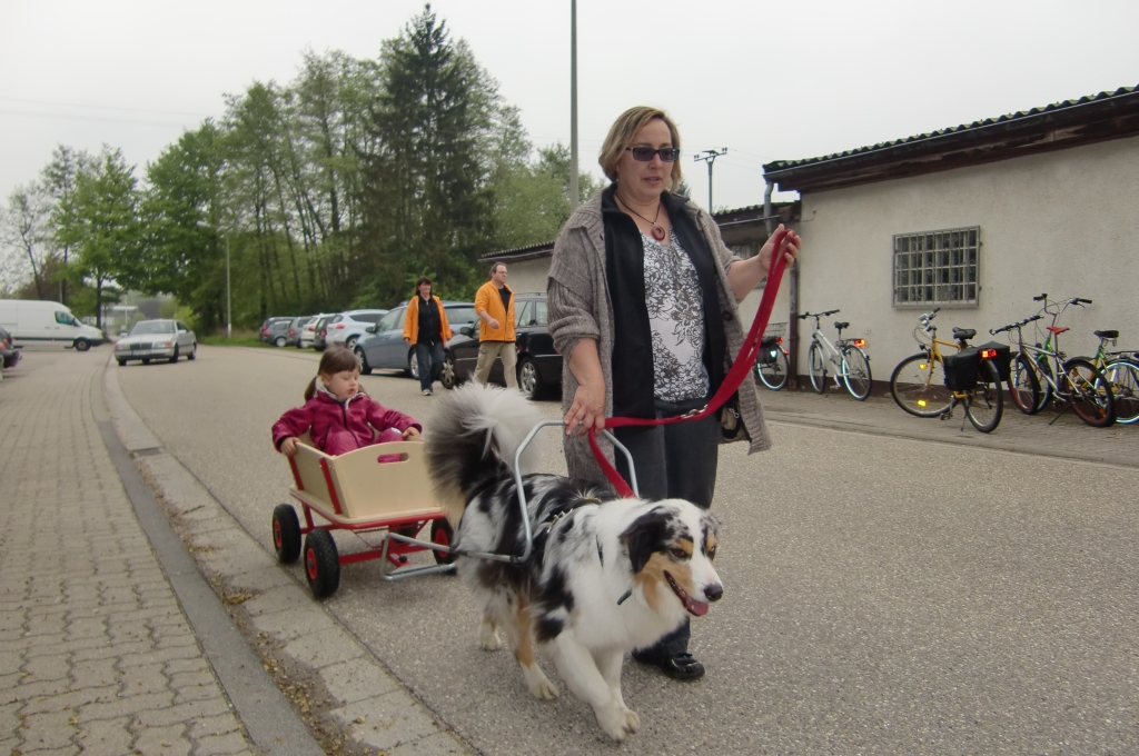 VdH_Hagenbach_2013_05_01_38