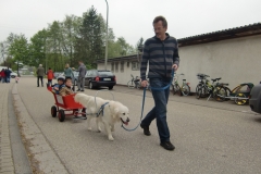 VdH_Hagenbach_2013_05_01_35
